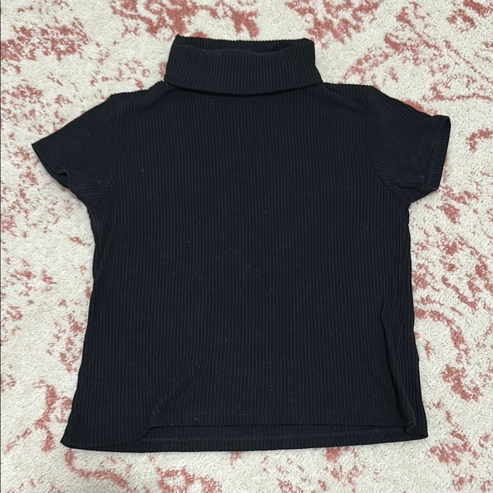 Brandy Melville Black Ribbed Turtleneck